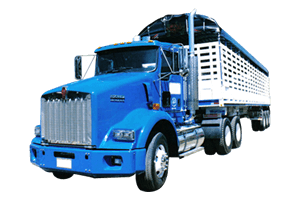 Carrocerías de madera